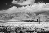 20110708-121330-_IGP0057.JPG