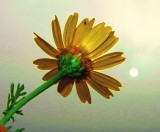 DSCN4212.jpg