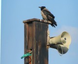 DSCN3420.jpg