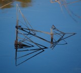 Reflections, Ponca State Park, Nebraska 10-13