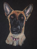 Gypsy - pastel on paper 9 x 12     2016