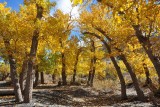 Eastern Sierra - October 2013 (day 2)