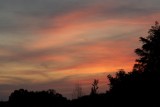 IMG_1764.jpg