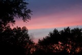 May 23, 2011