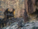 Honeycombs canyon