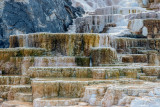 Mammoth hot springs