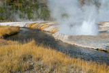 yellowstone