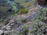 South Fork Crooked River 