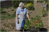 Lies bezig in de moestuin