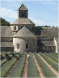 l`Abbaye Notre Dame de Snanque