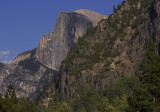 Half Dome greenery copy.jpg