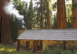 Yosemite NP-Wawona and Mariposa