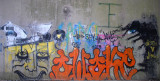  Pine Barrens Graffiti (PBG 1)