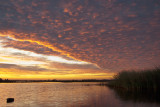 Sunrise over Bills duck pond.jpg