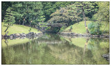 Shinjuku National Garden 1