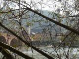 view from across the Neckar