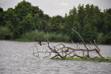 Negombo Lagoon