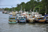 Fishing boats