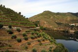 Sights En Route to Coimbra