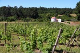 A Tasting and Lunch at Quinta dos Roques