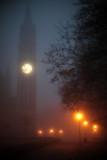 fog_in_vienna
