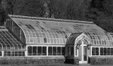 Granogue Estate Greenhouse 8MAR2014.jpg
