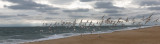 Motion Over The Ocean-07009.jpg
