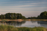 TidalMudflatWithBirds-2751.jpg