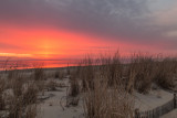 RedSkyInMorning-5111.jpg