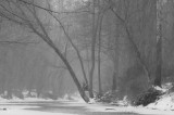 WhiteClaySnowB&W-02278.jpg