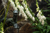 LizardSculptureAndFlowers-5537.jpg