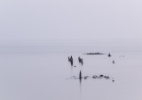 Woodland Beach 38 seconds-5710.jpg