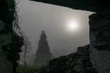 Waiting For The Sun-03516.jpg