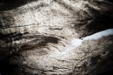Wood and Snow-6363.jpg