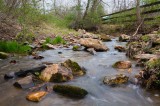 stream 1FairHill-04424.jpg