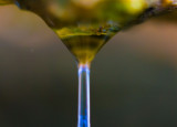 dropped drip FairHill-04403.jpg