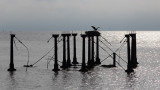 CoastalZone3-8237.jpg