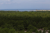 CoastalZone7-8278.jpg