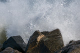 Surfer 6-07051.jpg