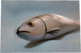 Fish2Stackedf2_8-.jpg