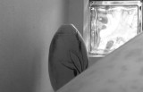 Sunday Morning-07328.jpg