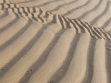 BeachTexture1-38.jpg