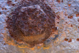 Bolthead-0011.jpg