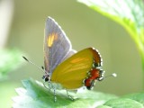 b010.jpg