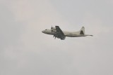 l020.jpg