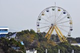 OP026.jpg