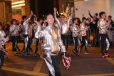 ap040.JPG