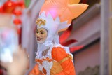 t066.JPG
