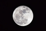 Super Moon (taken on 11/14/2016)