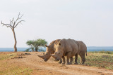 Rovos Africa-2015_006.jpg